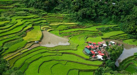 Tours Banaue.